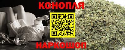 шишки Ставрополь