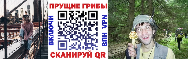 Галлюциногенные грибы ЛСД  Полевской 