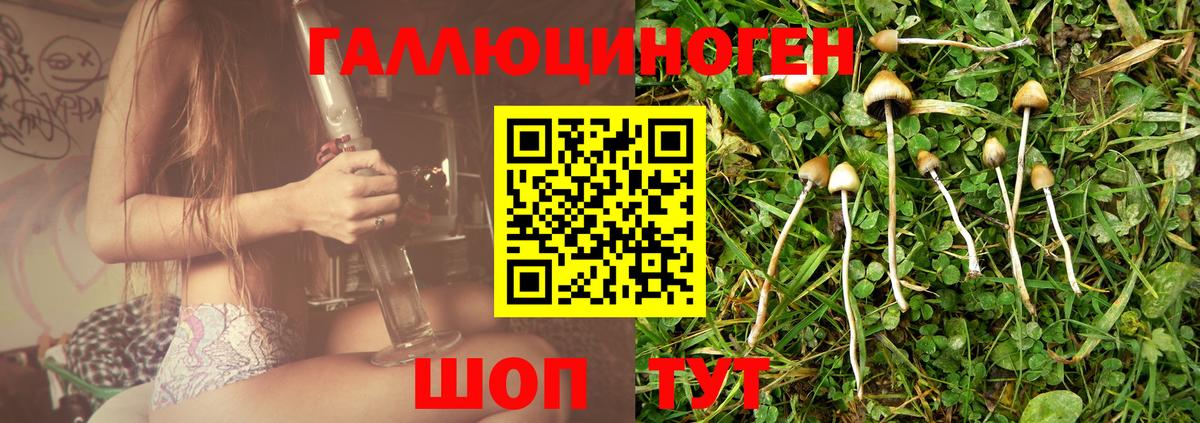 Псилоцибиновые грибы мицелий Полевской